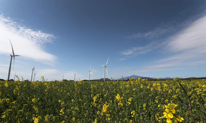 스마트팜 기술에 대한 사회적 인식 수준과 데이터 기반 농업에서 발생하는 윤리적 쟁점(데이터 편향, 책임 소재)에 대한 인식 조사