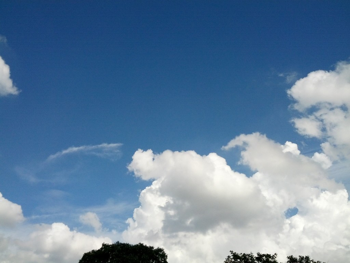 역대 최악의 연쇄살인범은?