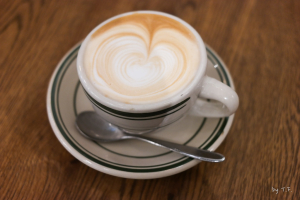 내한공연 온다면 꼭 가고싶은 가수♬