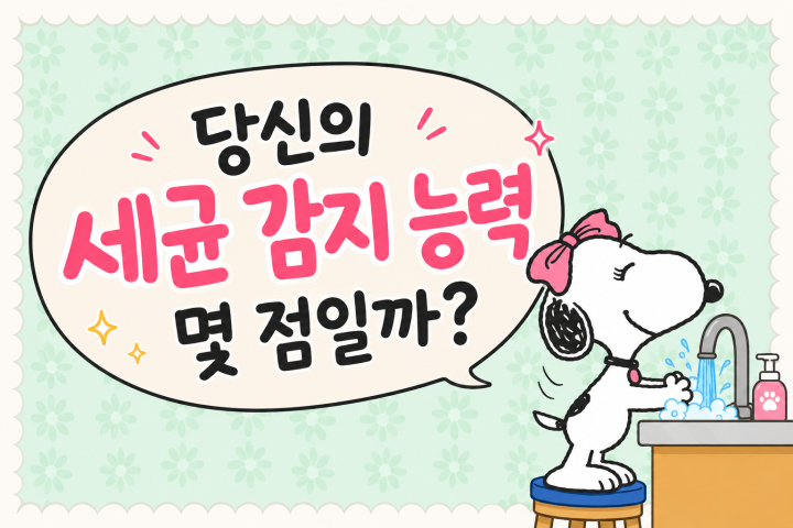 나는 얼마나 깔끔한 사람일까?